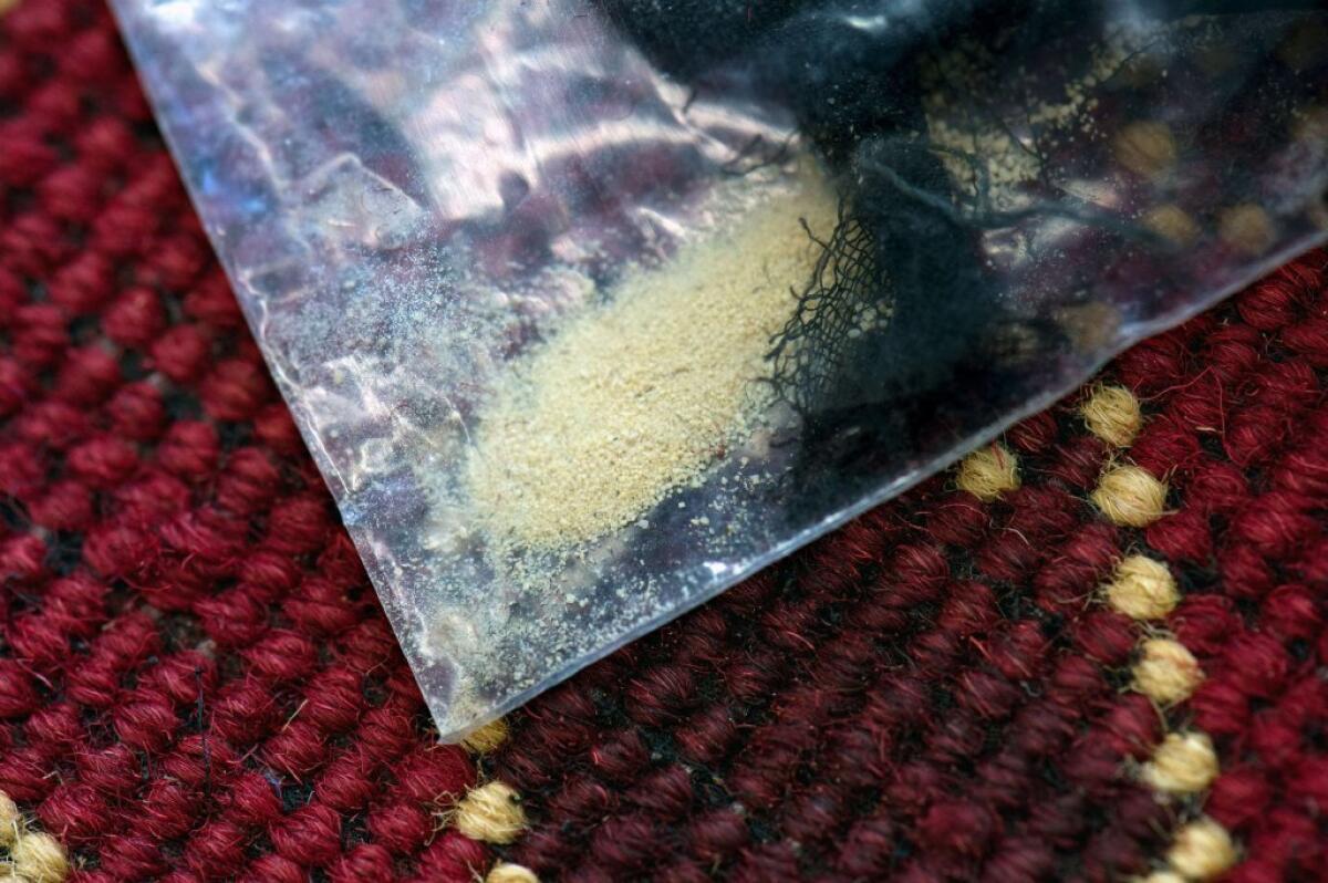 About 100 pounds of heroin were woven into the fabric of carpets and intercepted by customs officials at a German airport.
