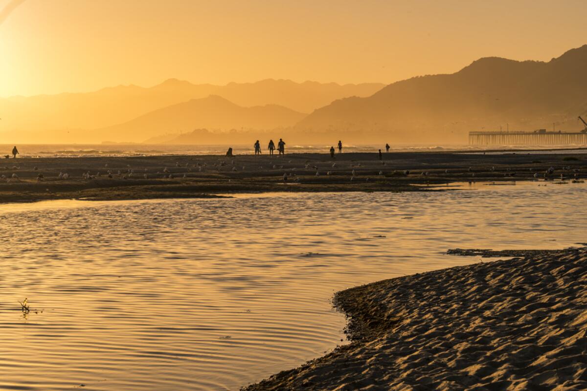 Pismo State Beach.