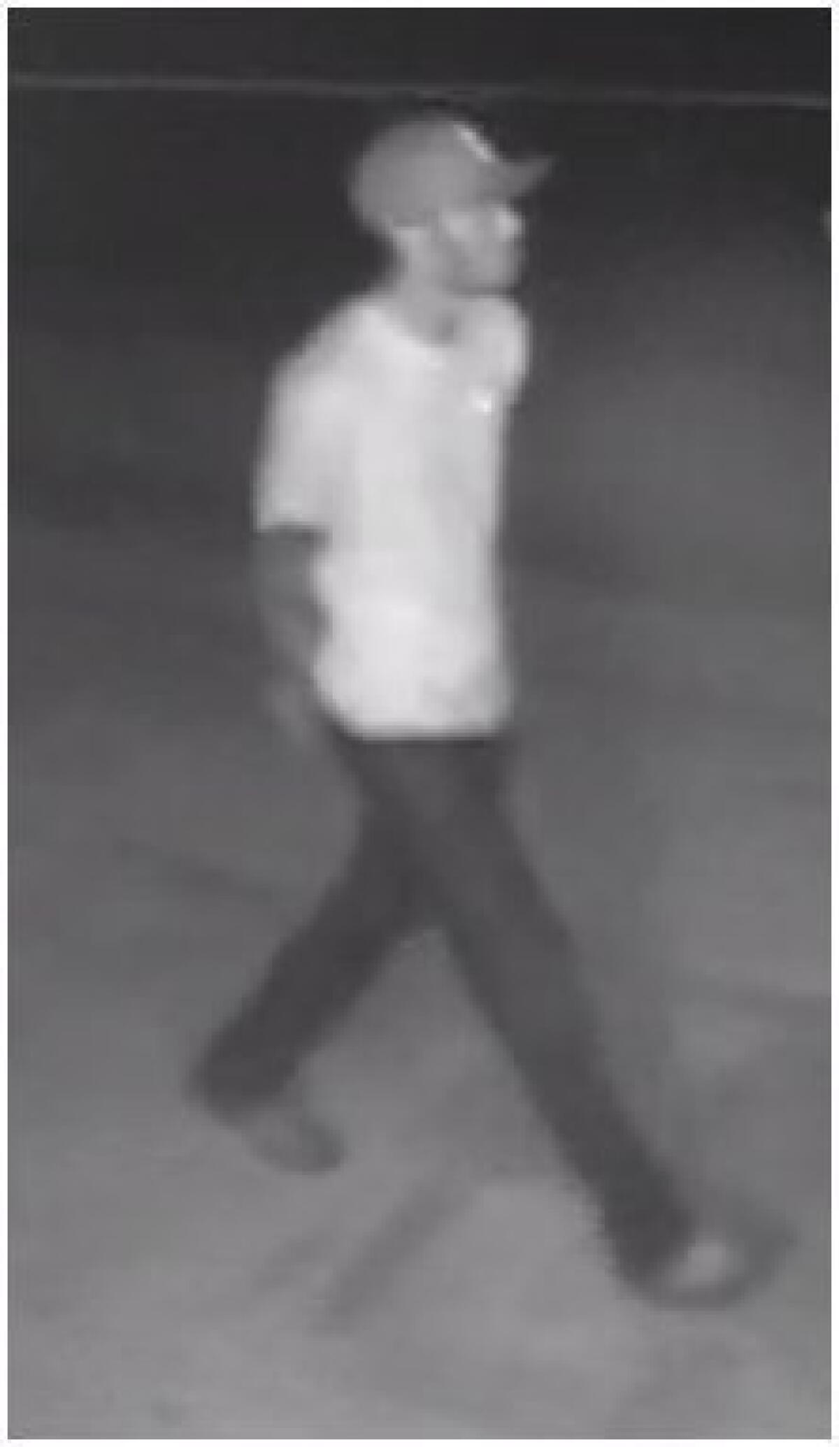 Police released this image of a "person of interest" in the area at the time of the Aug. 28 assault.
