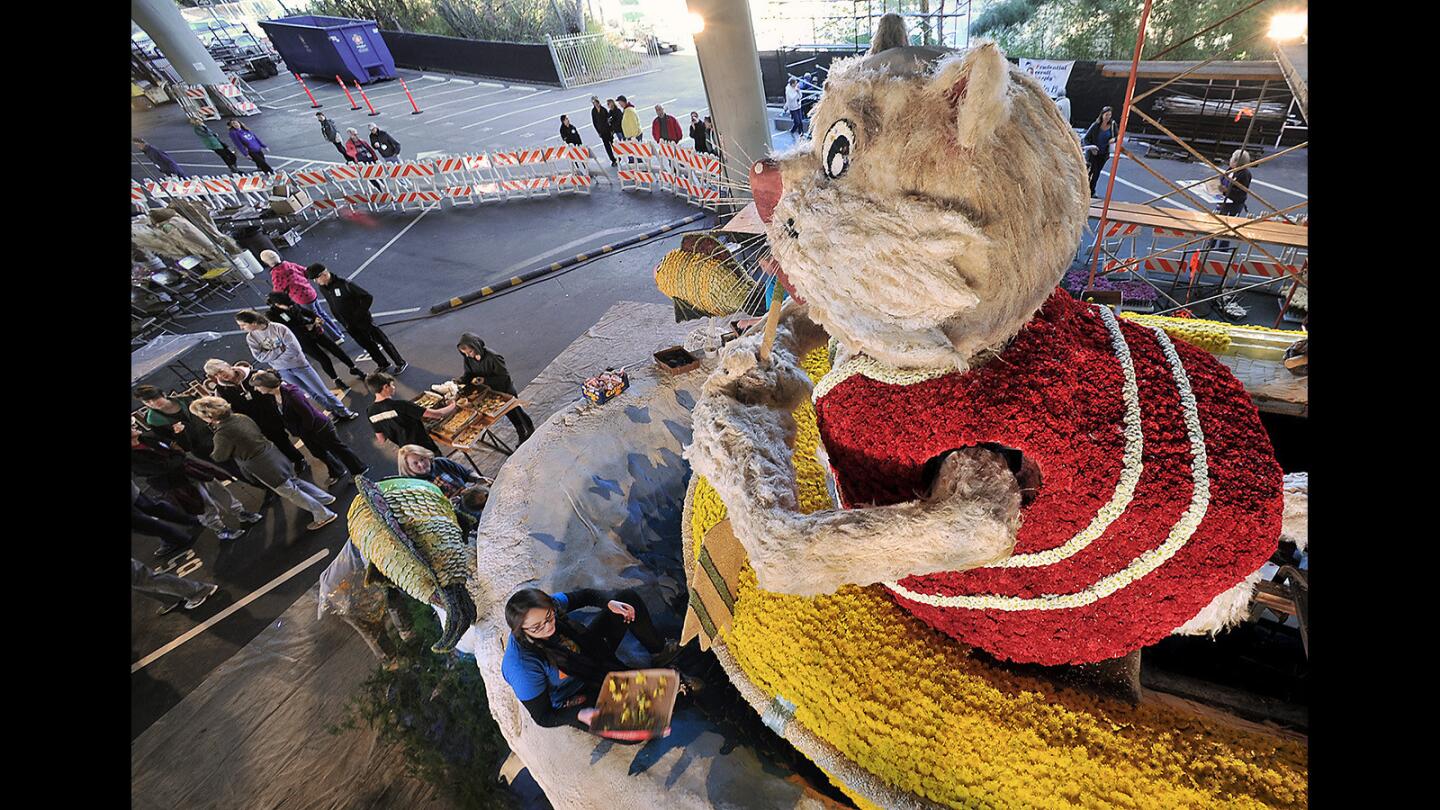 Sara Wickersham, from La Canada, glues flowers onto the La Canda float on Wednesday, December 30, 2015.