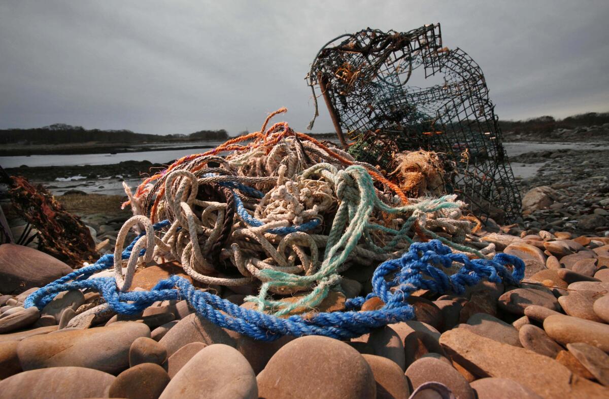 A washed-up lobster trap and netting sit on rocks on a beach