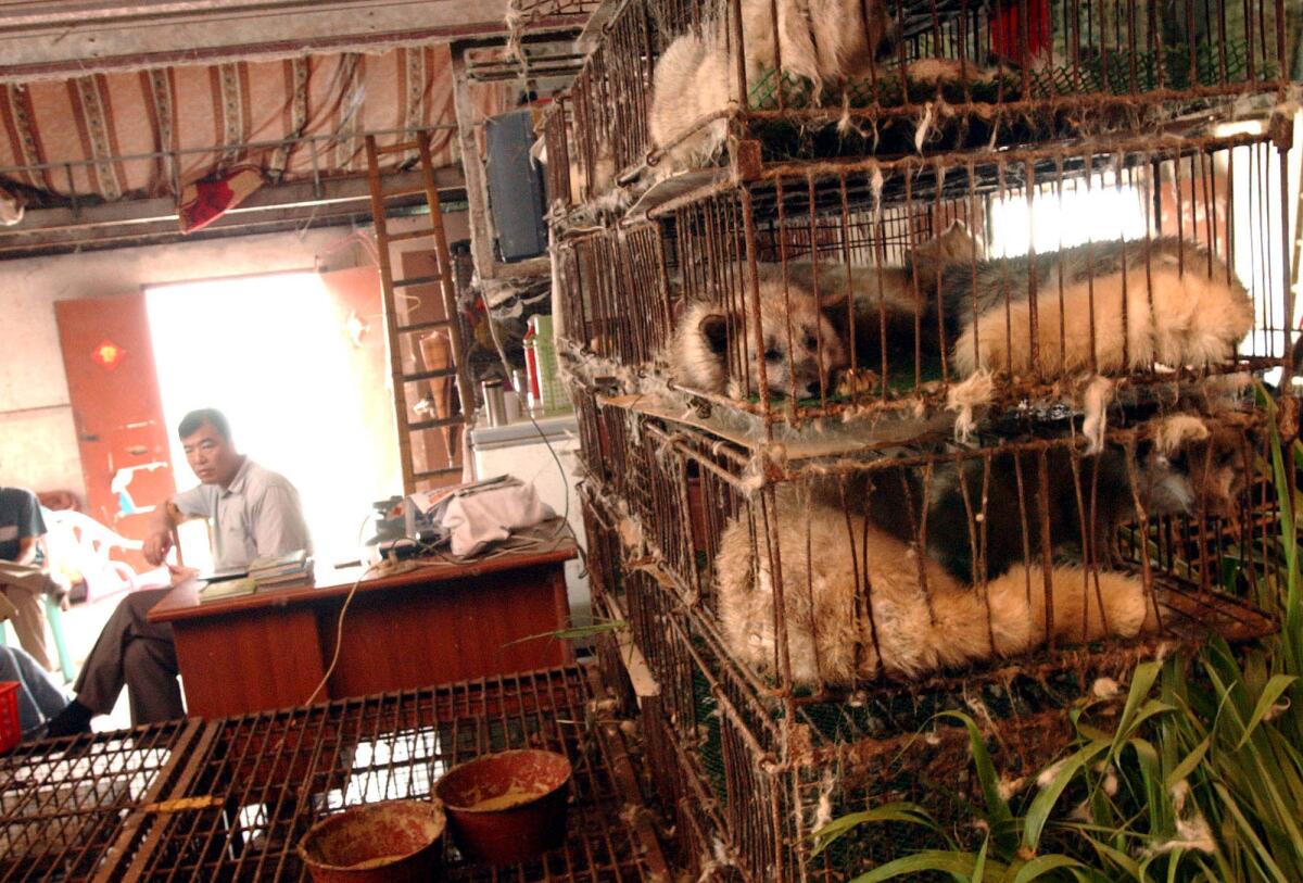 Un hombre se sienta en su puesto junto a perros enjaulados en un mercado que vende animales salvajes para el consumo en Guangzhou, en el sur de China.