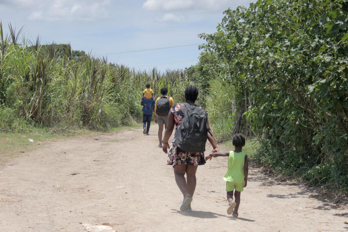 Migrantes buscan nuevas rutas para llegar a Tapachula, en el sur de México