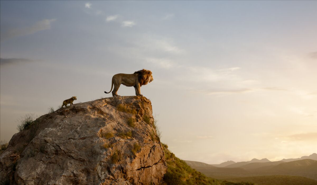 This image provided by Walt Disney Pictures shows a scene from "The Lion King." New LED video wall technology used in making last year’s “The Lion King” and “The Mandalorian” series could become more widespread as Hollywood production ramps back up during the pandemic. Instead of shooting on location with a full cast and crew and navigating stringent social distancing requirements, it allows filmmakers on a studio lot to spread out individual scenes captured virtually using a variety of techniques. (Walt Disney Pictures via AP)