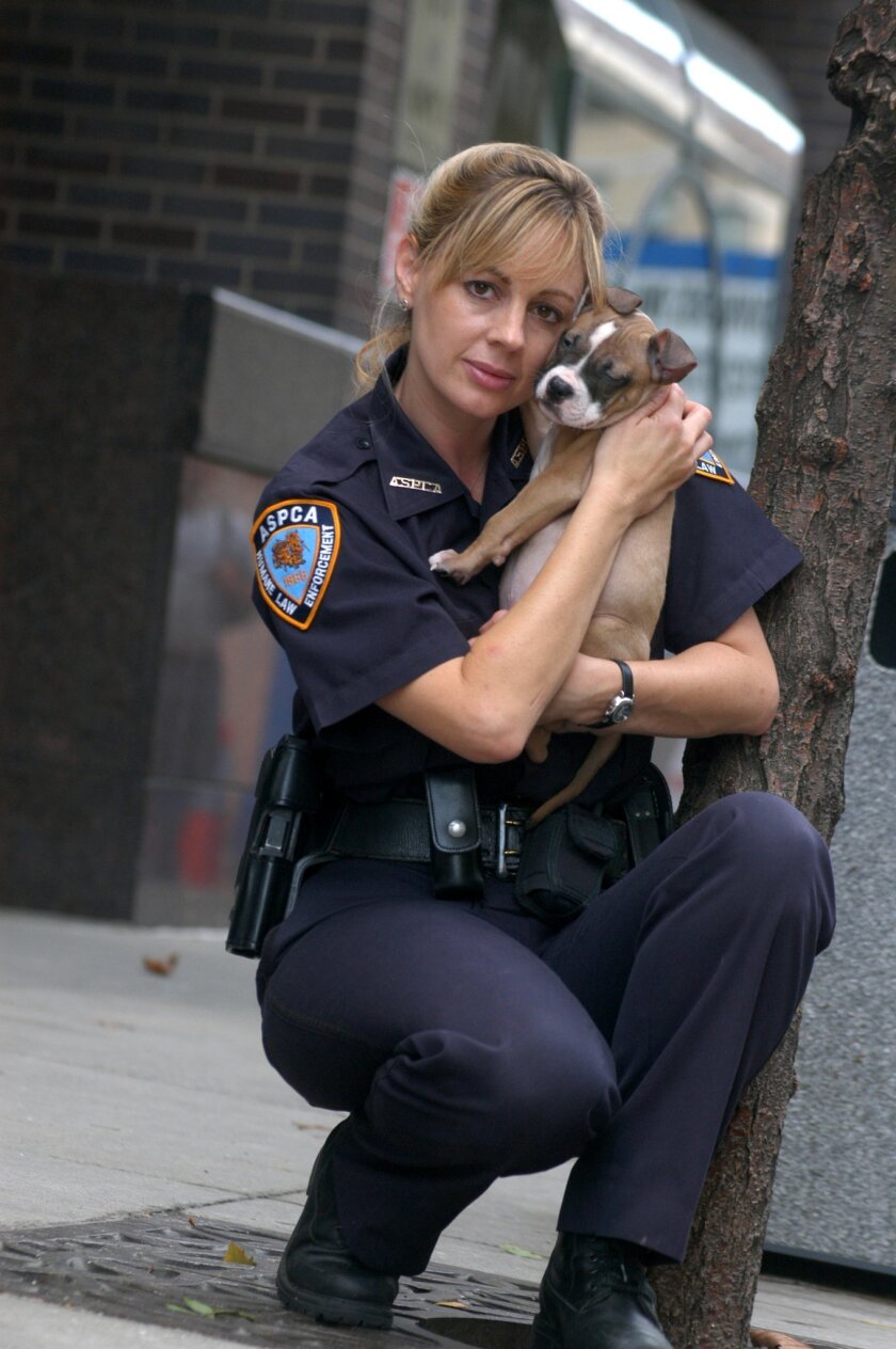 Aspca Closes Storied Enforcement Unit In Nyc The San Diego Union Tribune