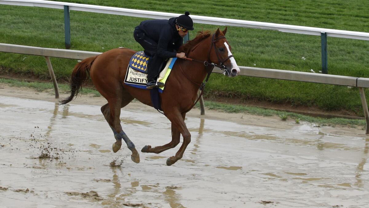 Justify, with exercise rider Humberto Gomez, gallops around the track at Pimlico Race Course on Thursday.