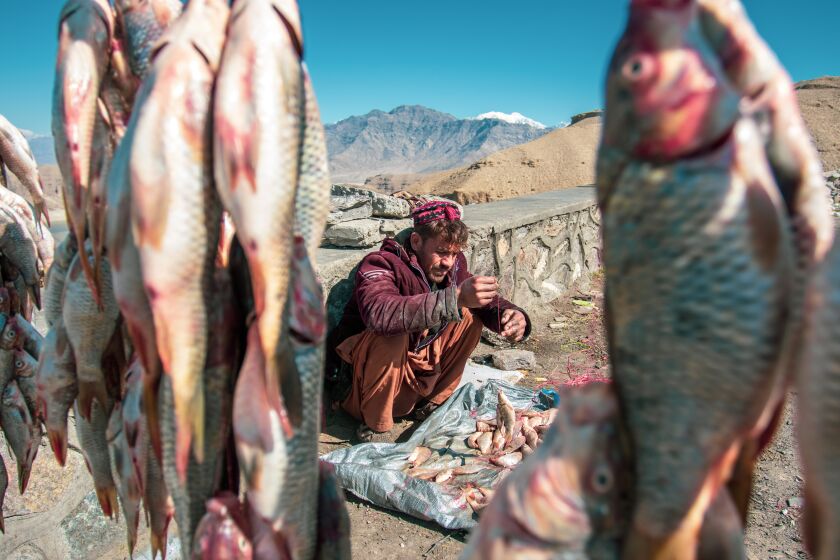 A man sells fish on the side of the Kabul-Jalalabad Highway, 2020.