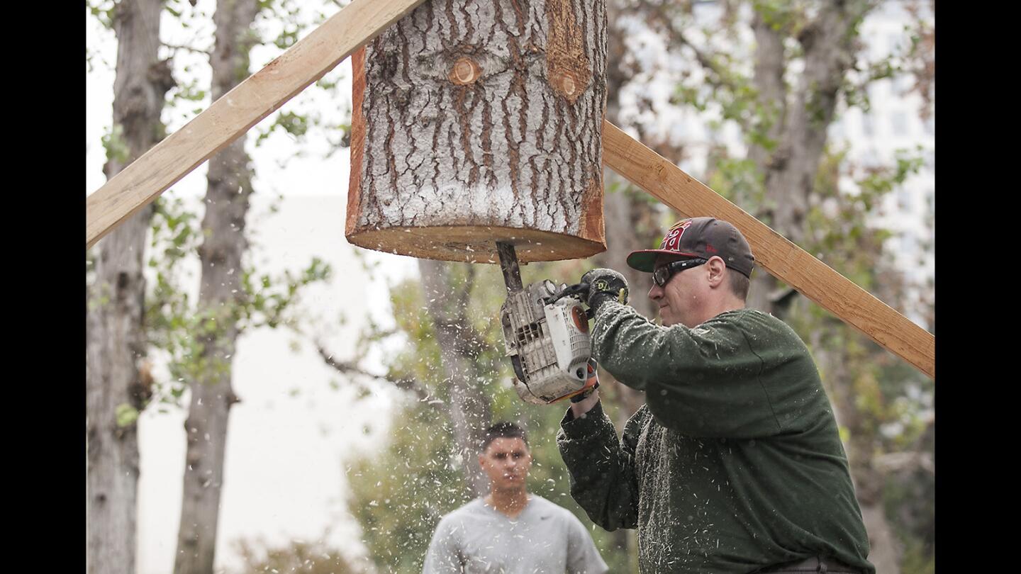 South Coast Plaza Christmas tree is lifted into place