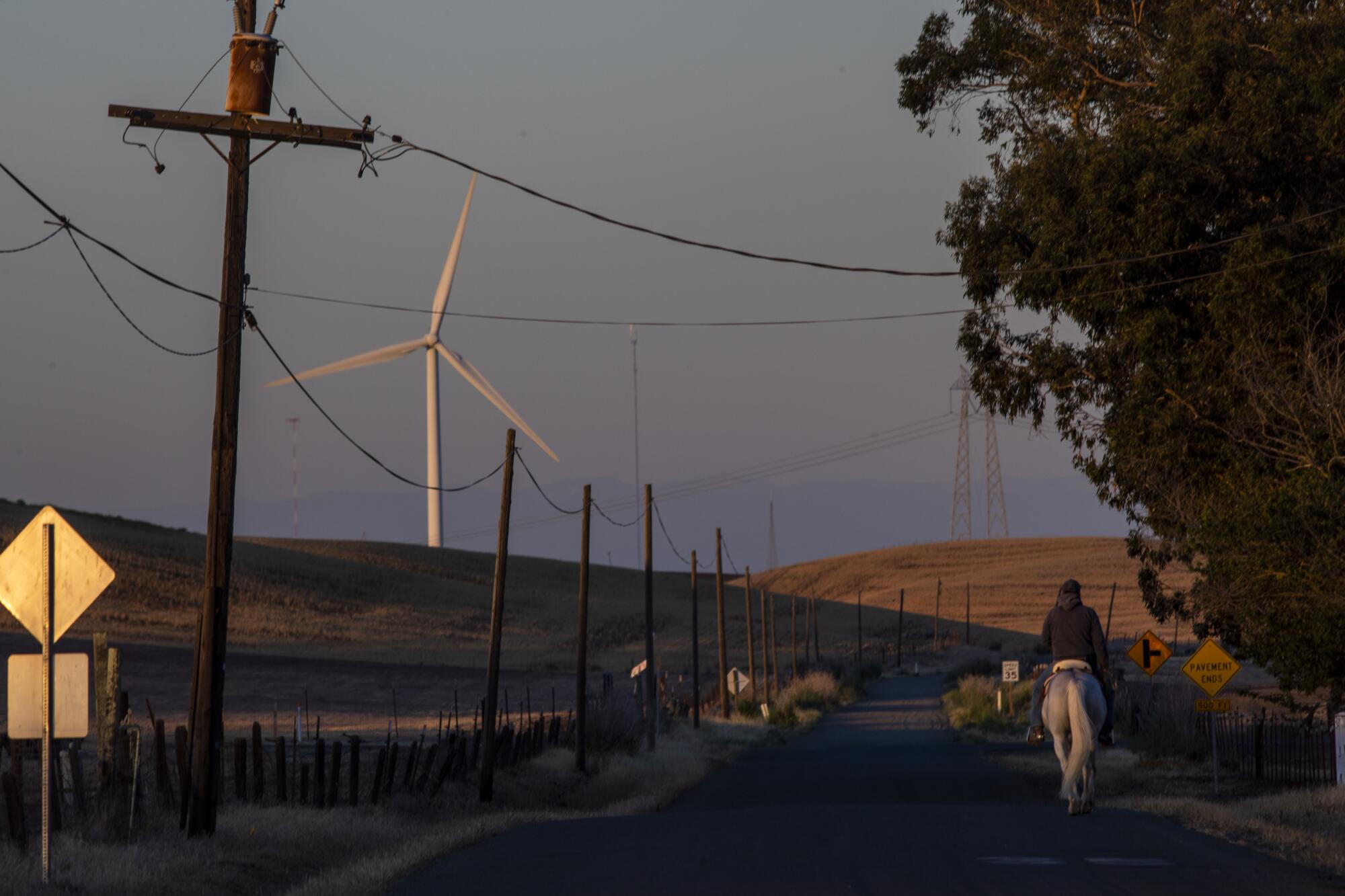 A person on a horse and a wind turbine far away.