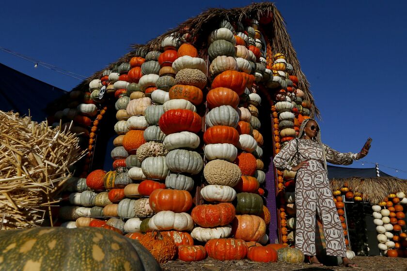 CULVER CITY,, CALIF. - OCT. 8, 2019. Yohaira Herrera takes a selfie at the Mr. Bones pumpkin patch in Culver City on Tuesday, Oct. 8, 2019. (Luis Sinco/Los Angeles Times)