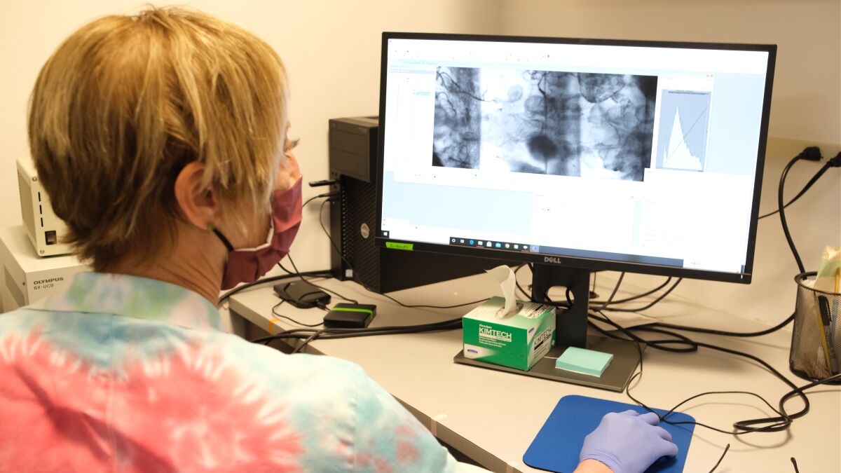 Karen Ocorr studies fly hearts under a microscope.