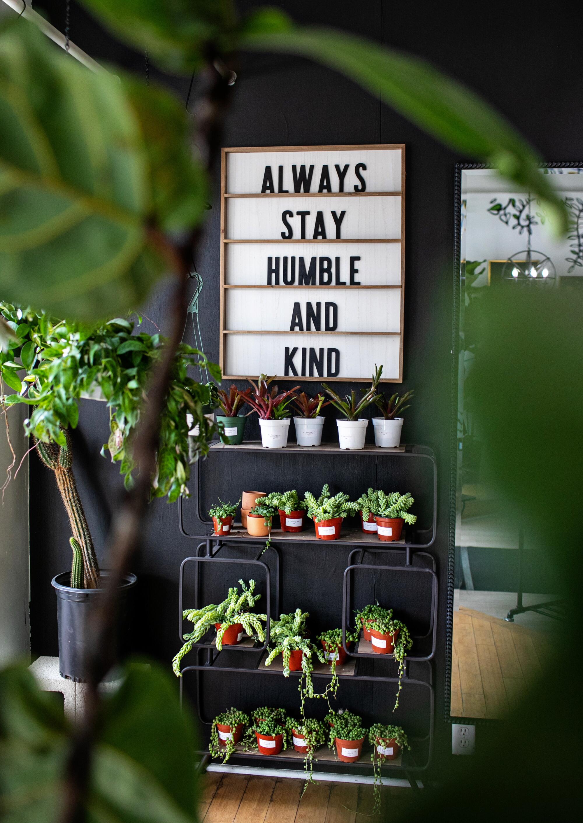 A sign reading "always stay humble and kind" hangs on a wall surrounded by potted plants indoors.