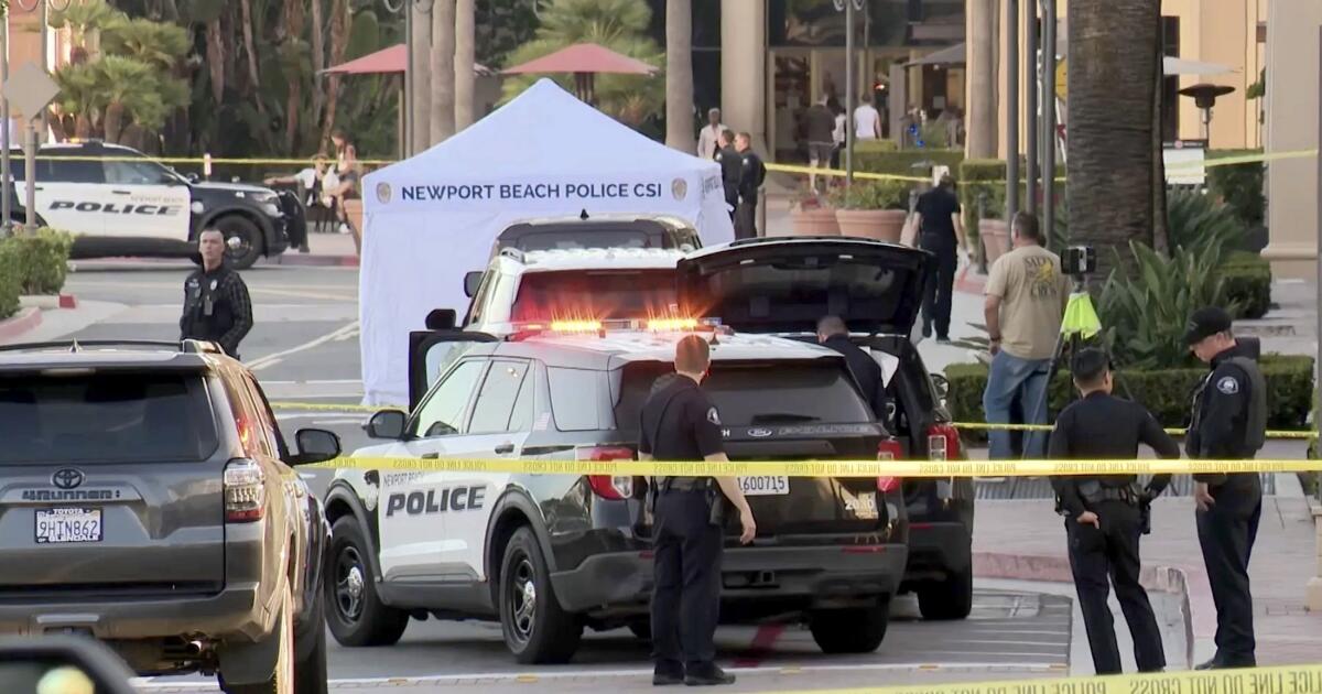 L.A. robbery crew targeted prominent New Zealand couple at Newport Beach mall, DA says L.A. robbery crew targeted prominent New Zealand couple at Newport Beach mall, DA says