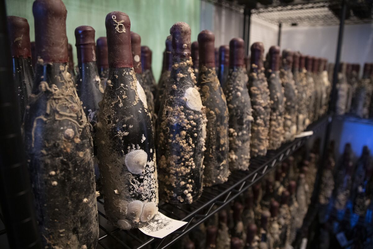 EmBarnacles and other forms of sea life cling to bottles of Ocean Fathoms wine that were aged in the sea off Santa Barbara.