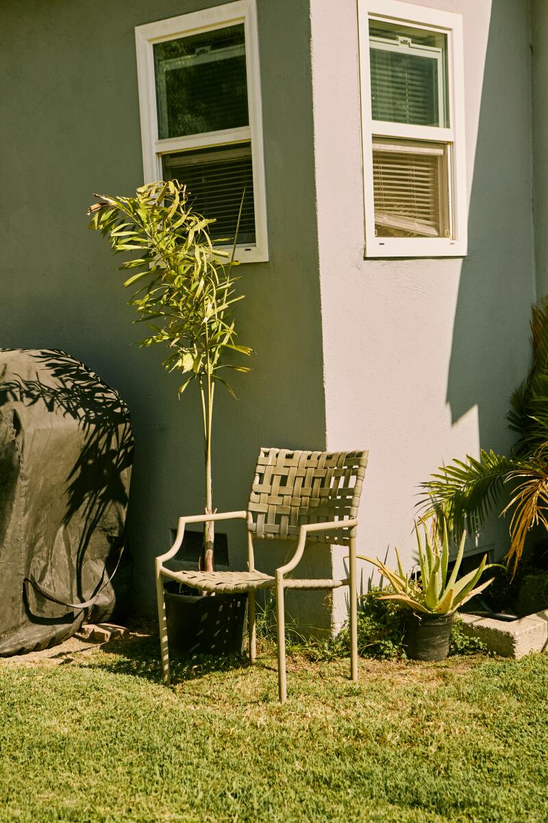 Corner of a home and a lawn chair in the sun.