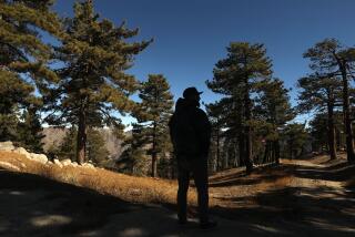 PEARBLOSSOM, CA - NOVEMBER 22, 2024 - - Attorney Joshua Shelton, one of the prospective buyers of Mt. Waterman Ski Resort, takes in the view at the resort in the Angeles National Forest on November 22, 2024. The Mt. Waterman ski resort is in the process of being sold to investors who say they will revitalize what's considered the closest skiing opportunity to Los Angeles. The prospective owners say they will also bring glamping, high-end dining and exclusive access to members of a ski club they're developing. However, all of this is contingent on Forest Service approval, which they have not yet secured. Mount Waterman is a ski area on Waterman Mountain in the San Gabriel Mountains of the Angeles National Forest in Los Angeles County, California. (Genaro Molina/Los Angeles Times)