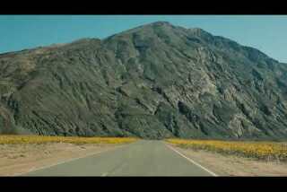 Experience the rare beauty of Death Valley's 'super bloom'