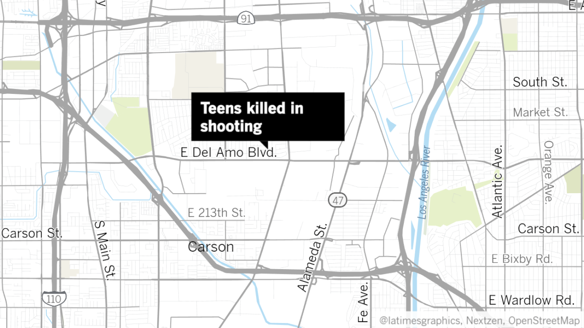 Two teens were killed in a shooting in the 20300 block of Alvo Avenue in Carson on Sunday night.