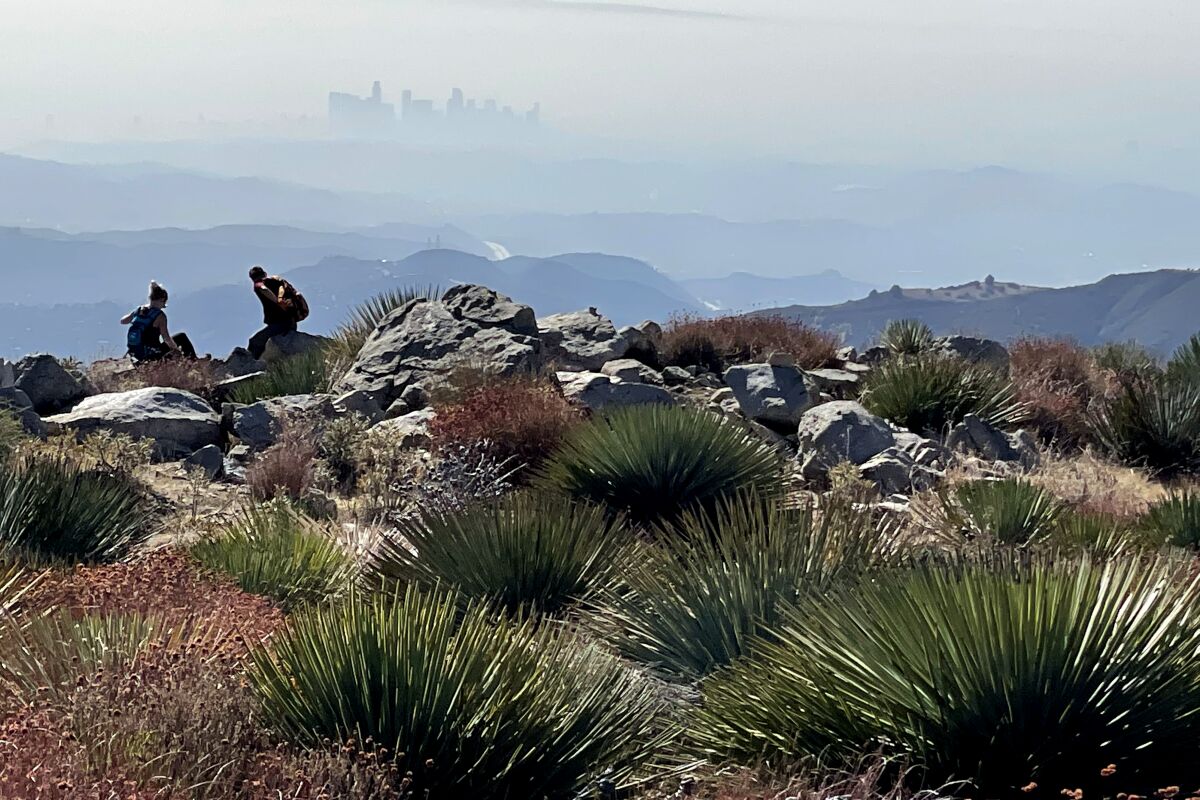 Hikers rest on the Hoyt Mountain trail, with hills and Los Angeles in the distance.
