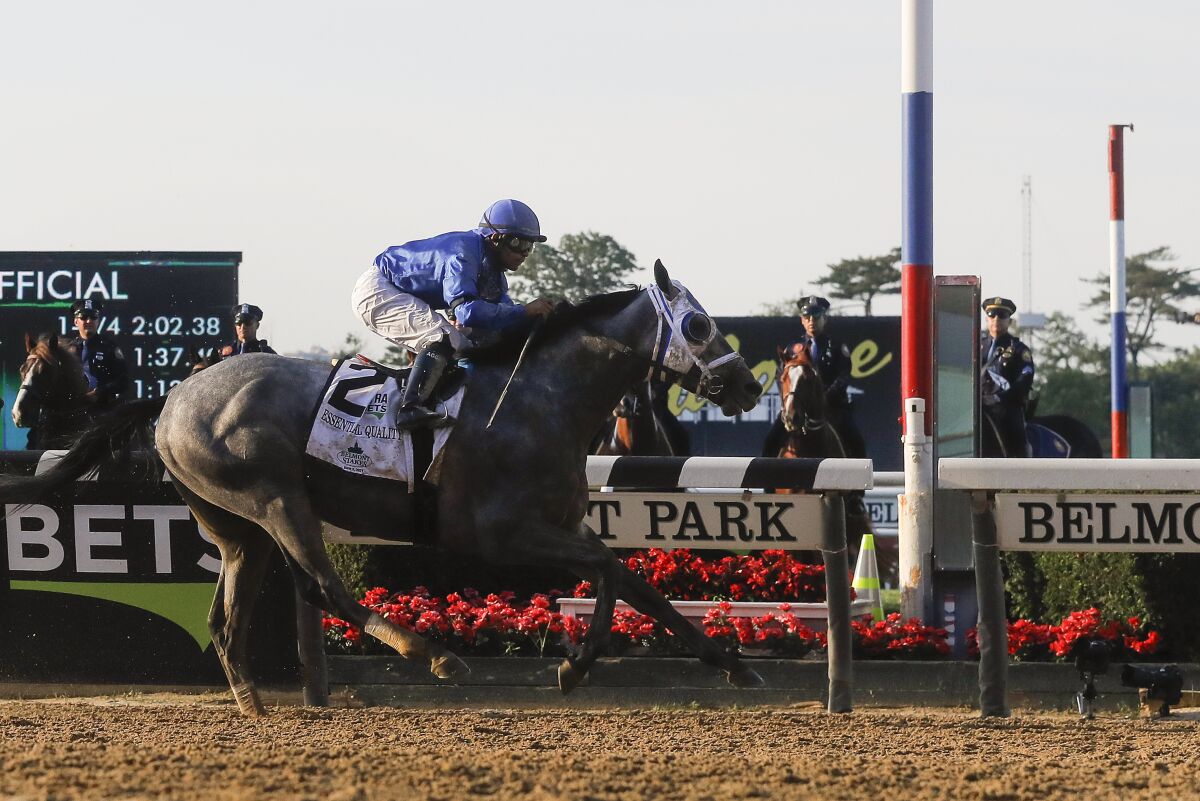 Jockey Luis Saez rides Essential Quality to victory in the Belmont Stakes on Saturday.
