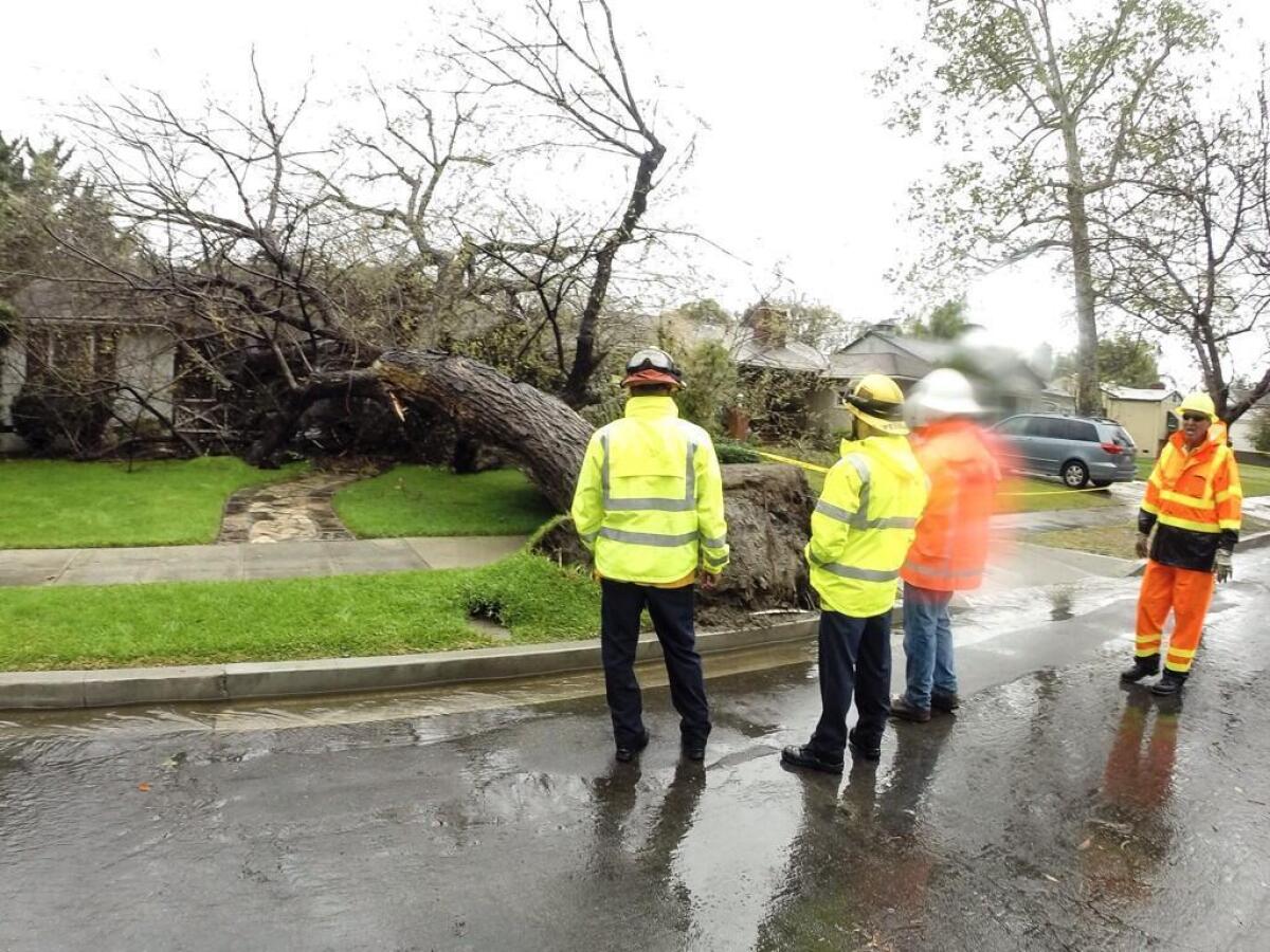 Crews were called to a Burbank home at 330 N. Beachwood Dr., just south of Magnolia Boulevard, on Friday, Feb. 28, 2014. A woman in her 80s was home when the tree fell on her house. She escaped the residence without any injuries.