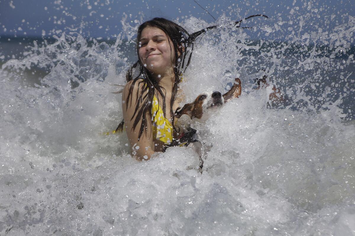 Mariana Rojas juega con su perro Sussy en las olas de la playa Los Ángeles 