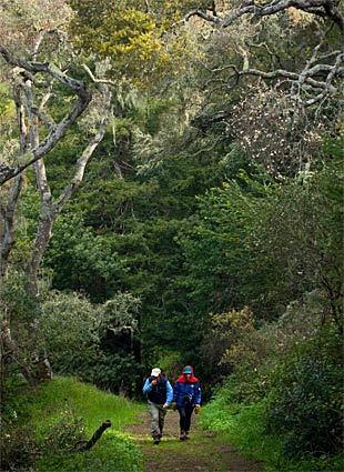 Bolinas Lagoon Preserve