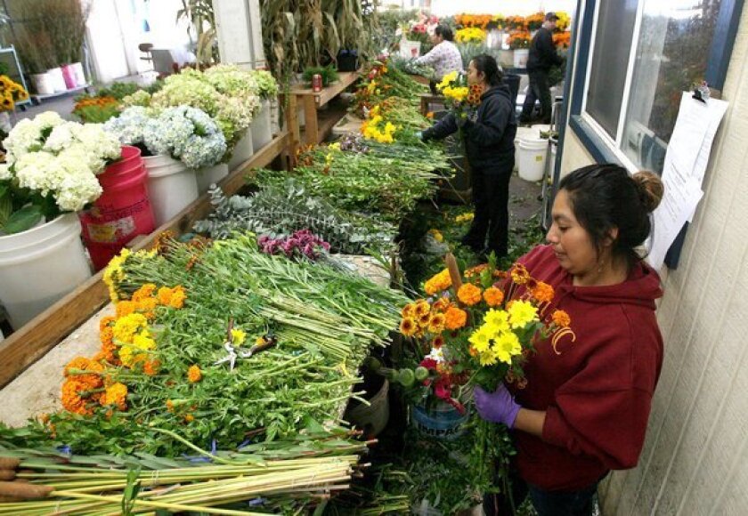 Carlsbad Wholesale Floral Center Gets Reprieve The San Diego Union Tribune