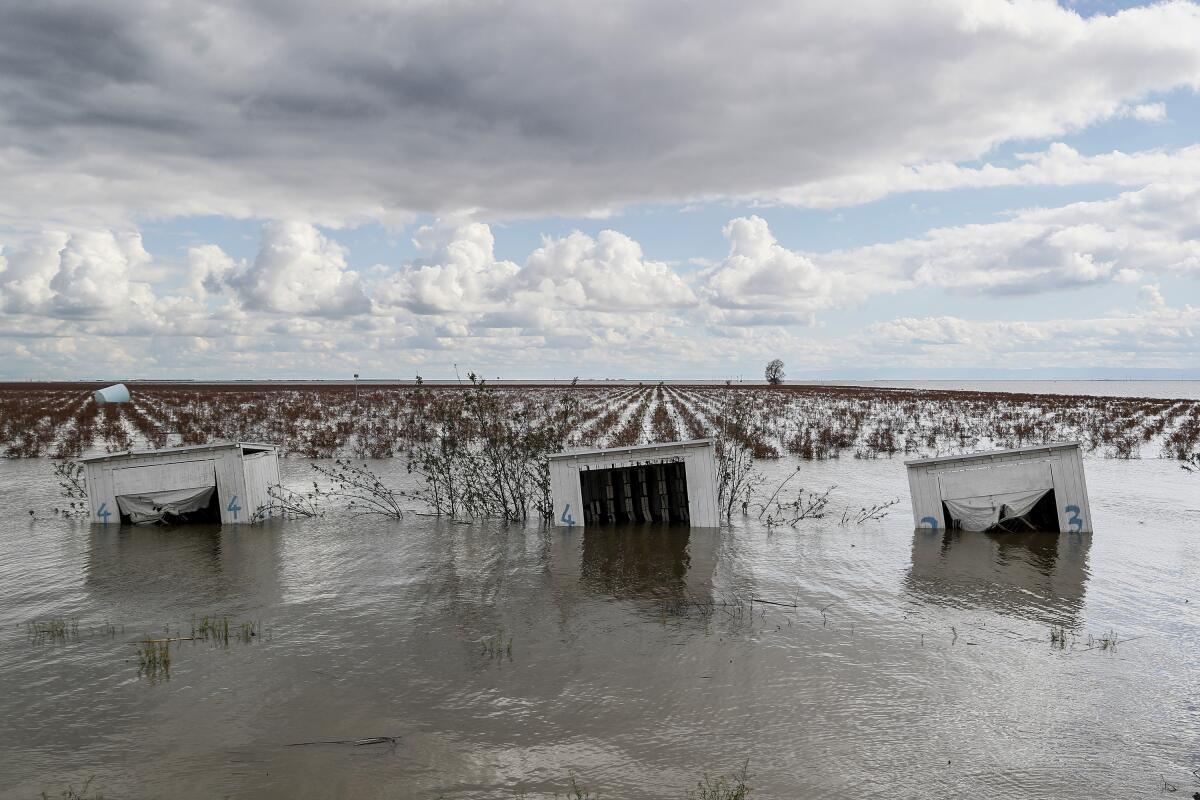 Boxlike white structures are partially submerged in water, in front of rows of crops under a cloudy sky