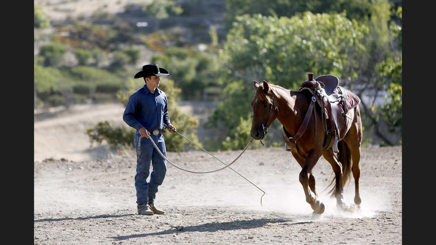 Roberto Flores, 20 of Burbank, warms up a formerly wild six-year old Mustang horse he calls Lucky Little Sparrow, during a morning workout in Sunland on Tuesday, June 13, 2017. The Mustang was caught by the Bureau of Land Management in Owyhee, Nevada six months ago and given to Flores to train for an event called Extreme Mustang Makeover after an application for the horse was approved three months ago. In the last three months, Flores has trained the horse from completely wild to being able to saddle it, ride it and train it in a variety of tasks. After the competition, which includes handling, trail and maneuver, the horse will be put up for auction and adoption.