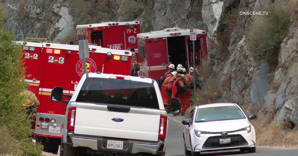 Bridge fire in L.A. County grows to 200 acres; visitors are evacuated