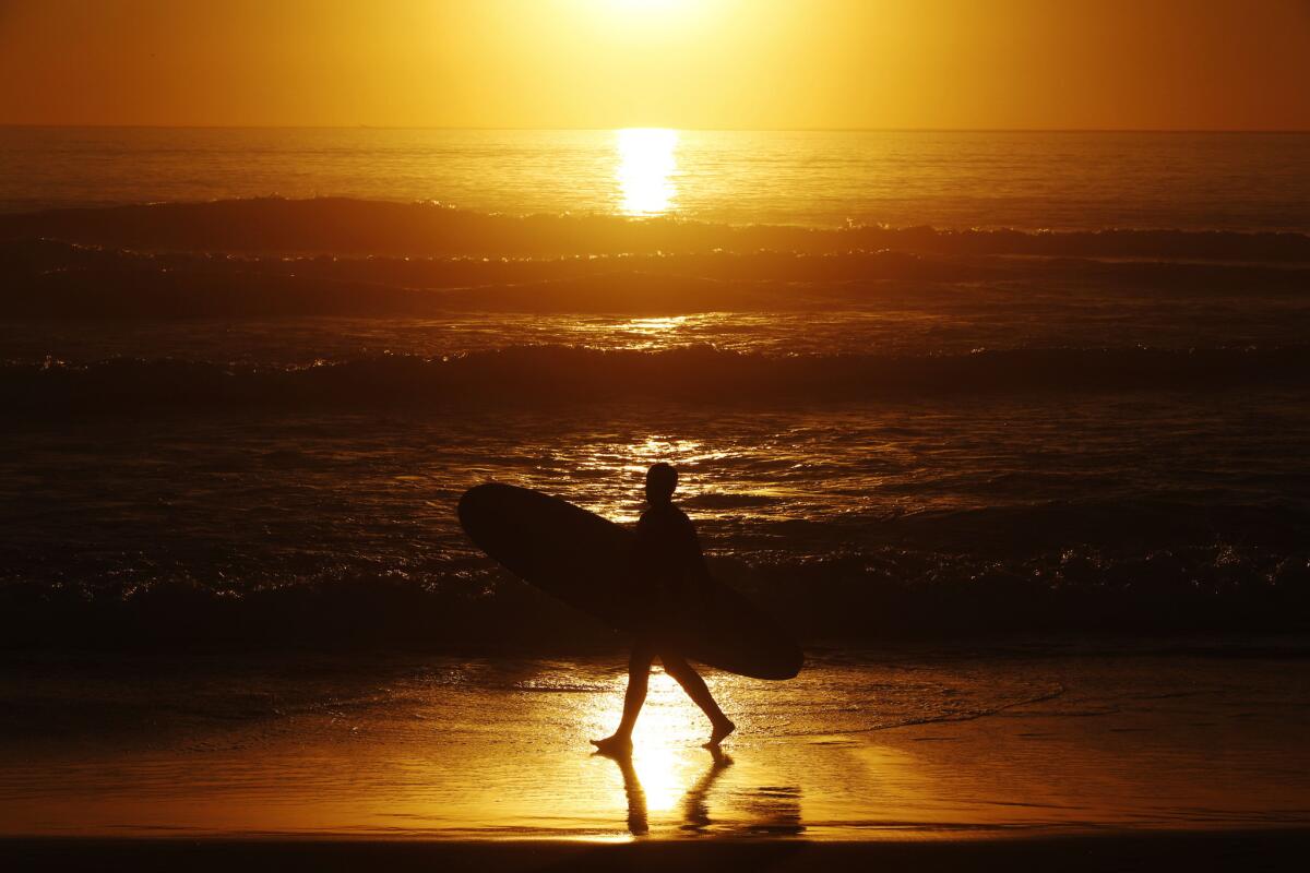 A man carries a surfboard at sunset at El Porto in Manhattan Beach.