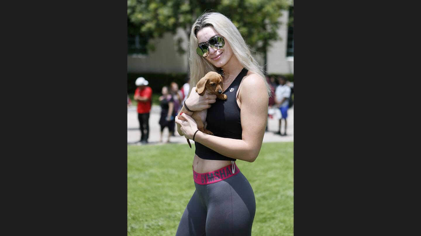 Photo Gallery: Puppies help relieve finals week stress at Glendale College