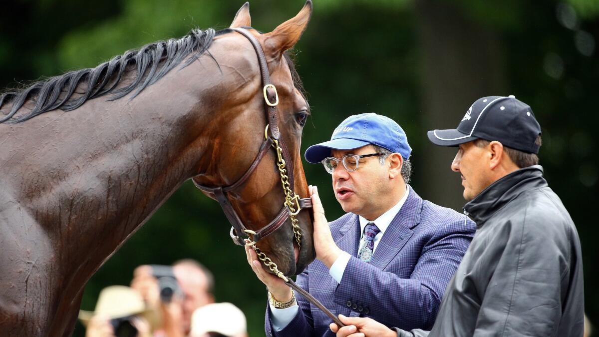 Owner Ahmed Zayat greets American Pharoah after he was given a bath following a workout at Belmont Park on Friday.