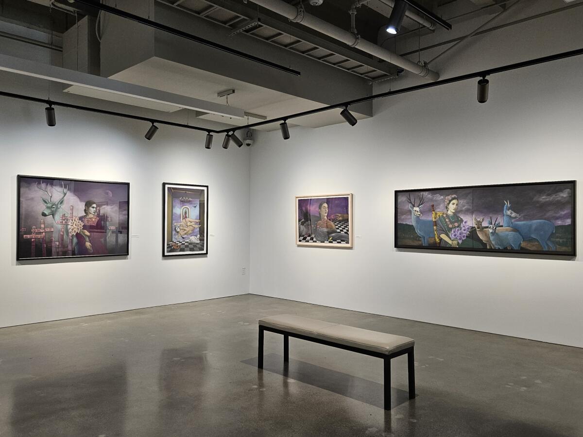 Four paintings hang on a white museum wall; a bench sits in the center.