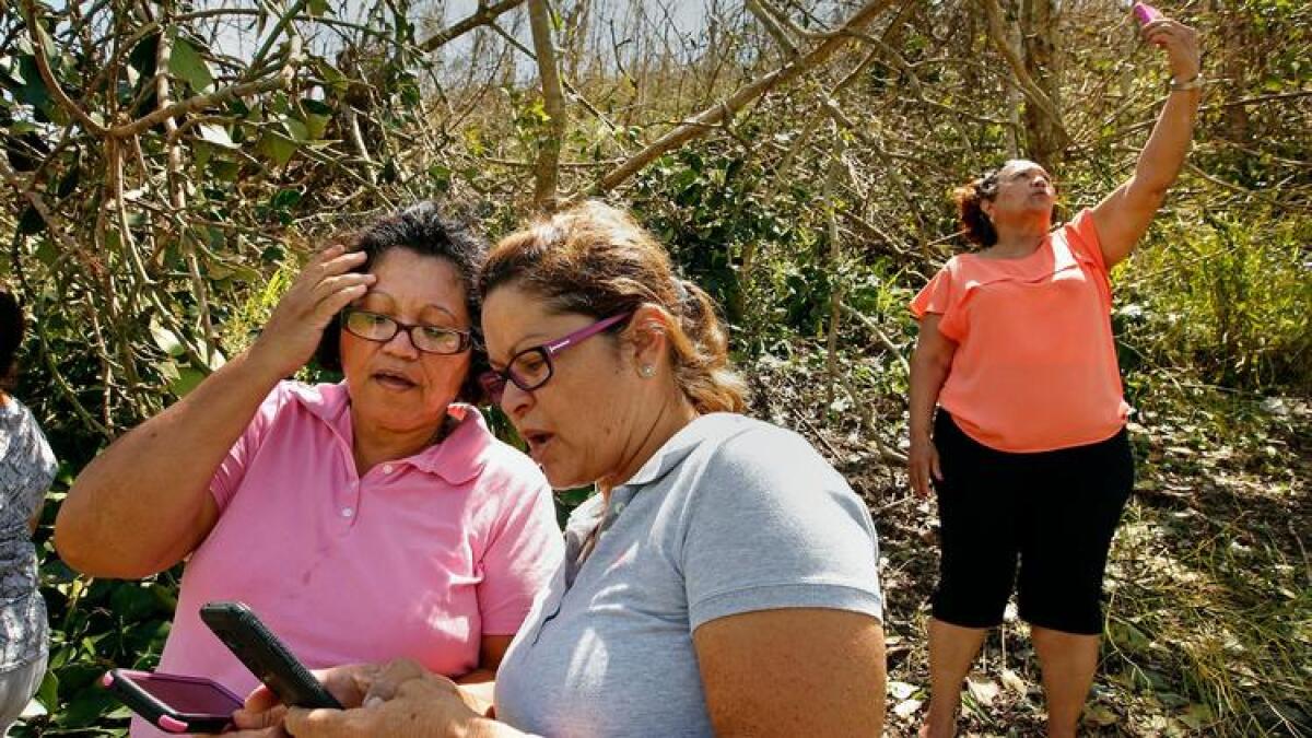 Puerto Ricans head for the island's hills to find a mobile phone signal to contact family members.