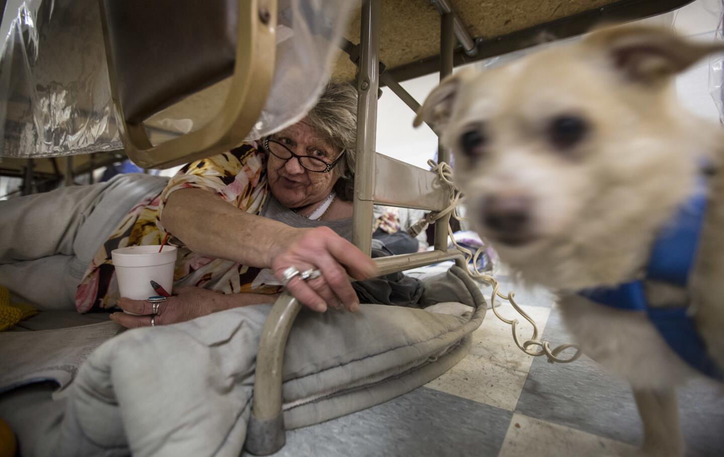 Sharon Dalton finds a quiet spot under a table as she spends a second night with her dog Cruiser inside the Bangor Community Hall.