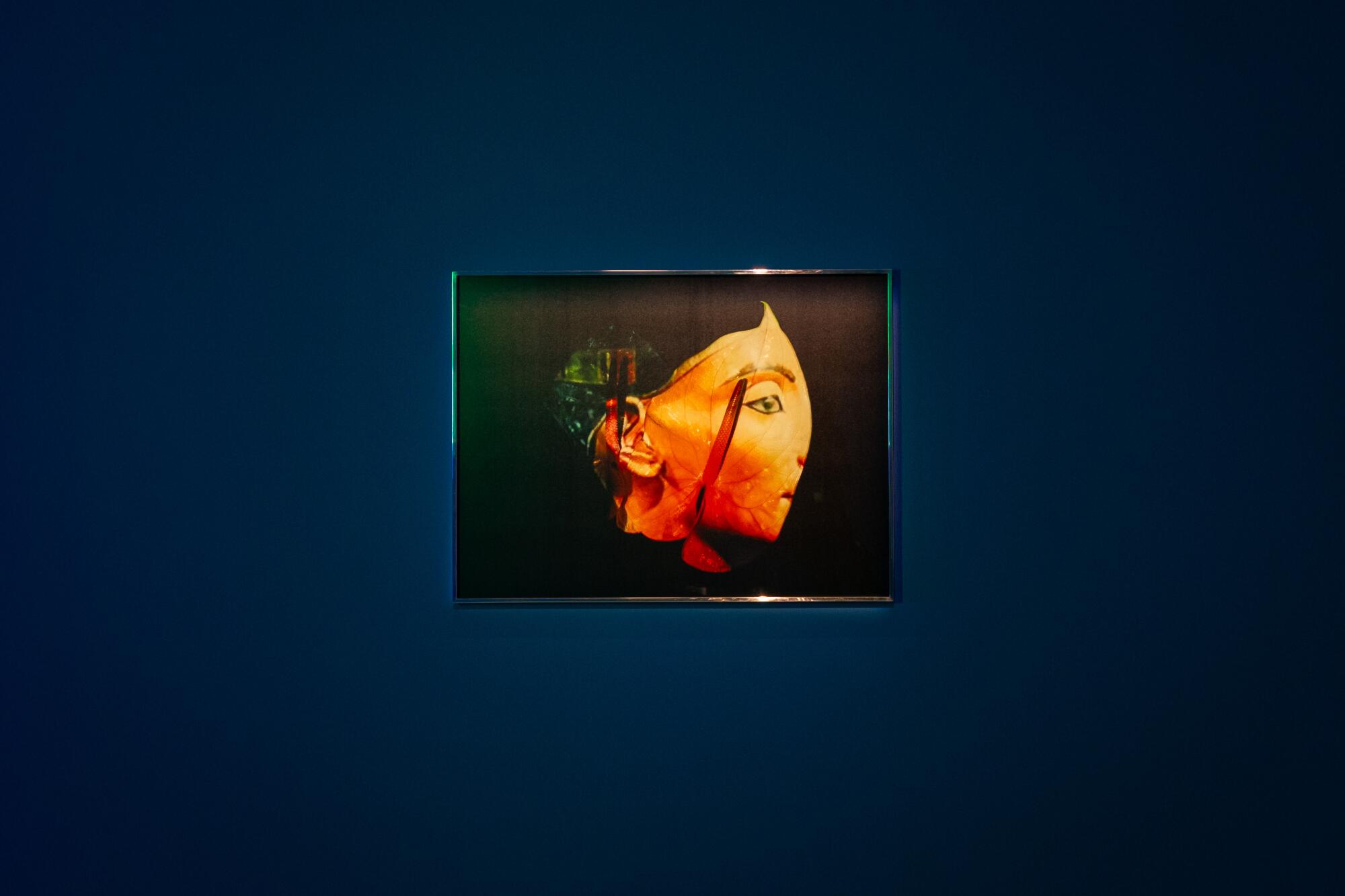Awol Erizku, "Transfixion (Nefertiti)," 2025.