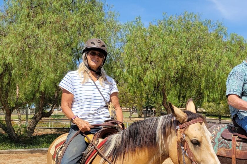 A program by Ellen Gerkhe, owner/director of Rolling Horse Ranch, uses horses to work with veterans with PTSD. 