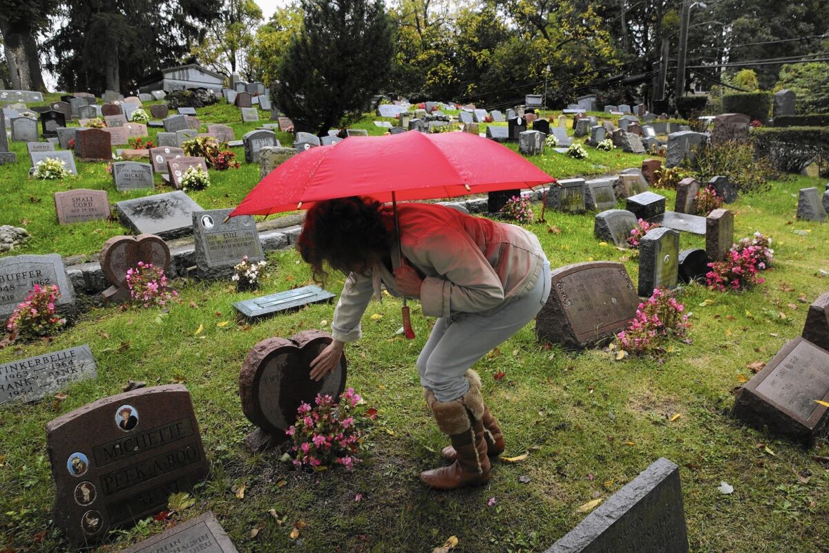 Rhona Levy has three cats and a dog buried at Hartsdale Pet Cemetery in New York. One day she'll be buried alongside them. "Who do you want to be with when you're dead?" she says. "You want to be with your family."