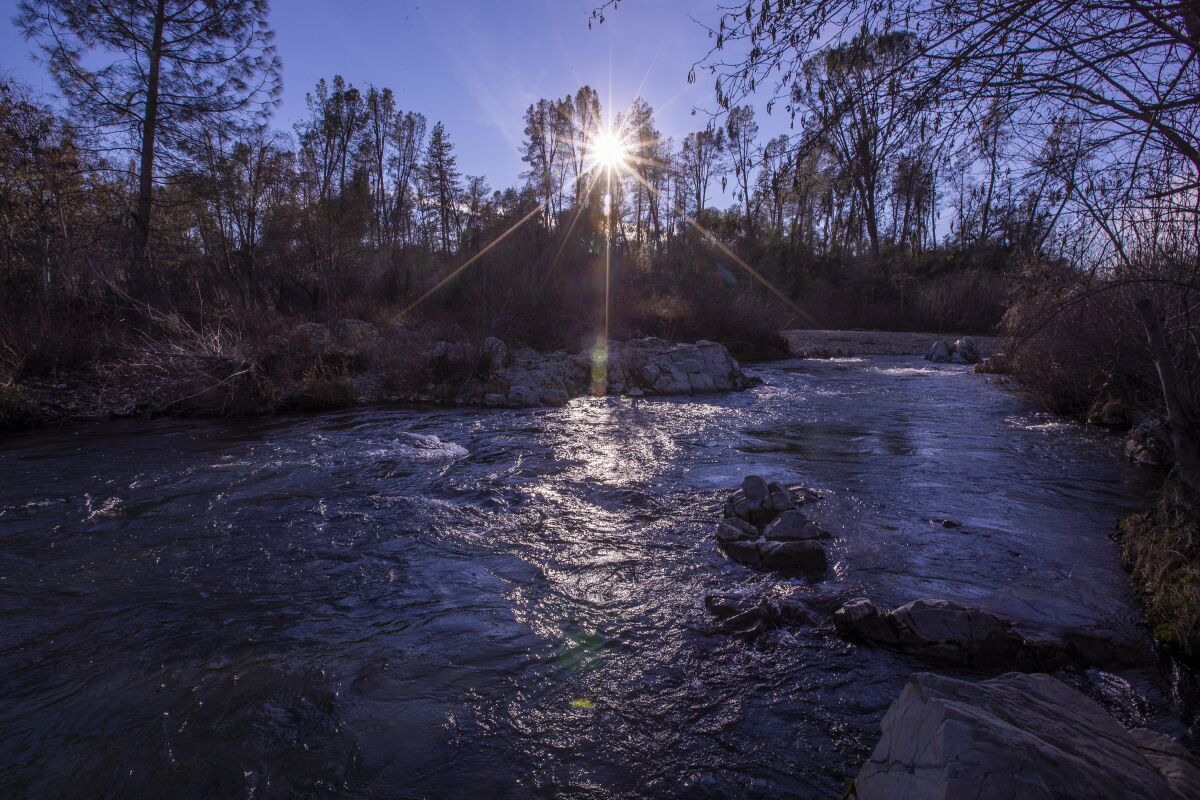 Clear Creek, a tributary of the Sacramento River, is one of the streams where fall-run chinook salmon spawn.