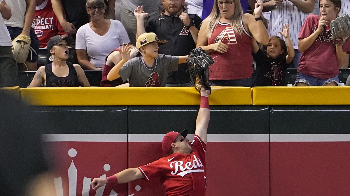 Diamondbacks' Tommy Pham Calls Out Fan on Social Media After Heated  Exchange on Video, News, Scores, Highlights, Stats, and Rumors