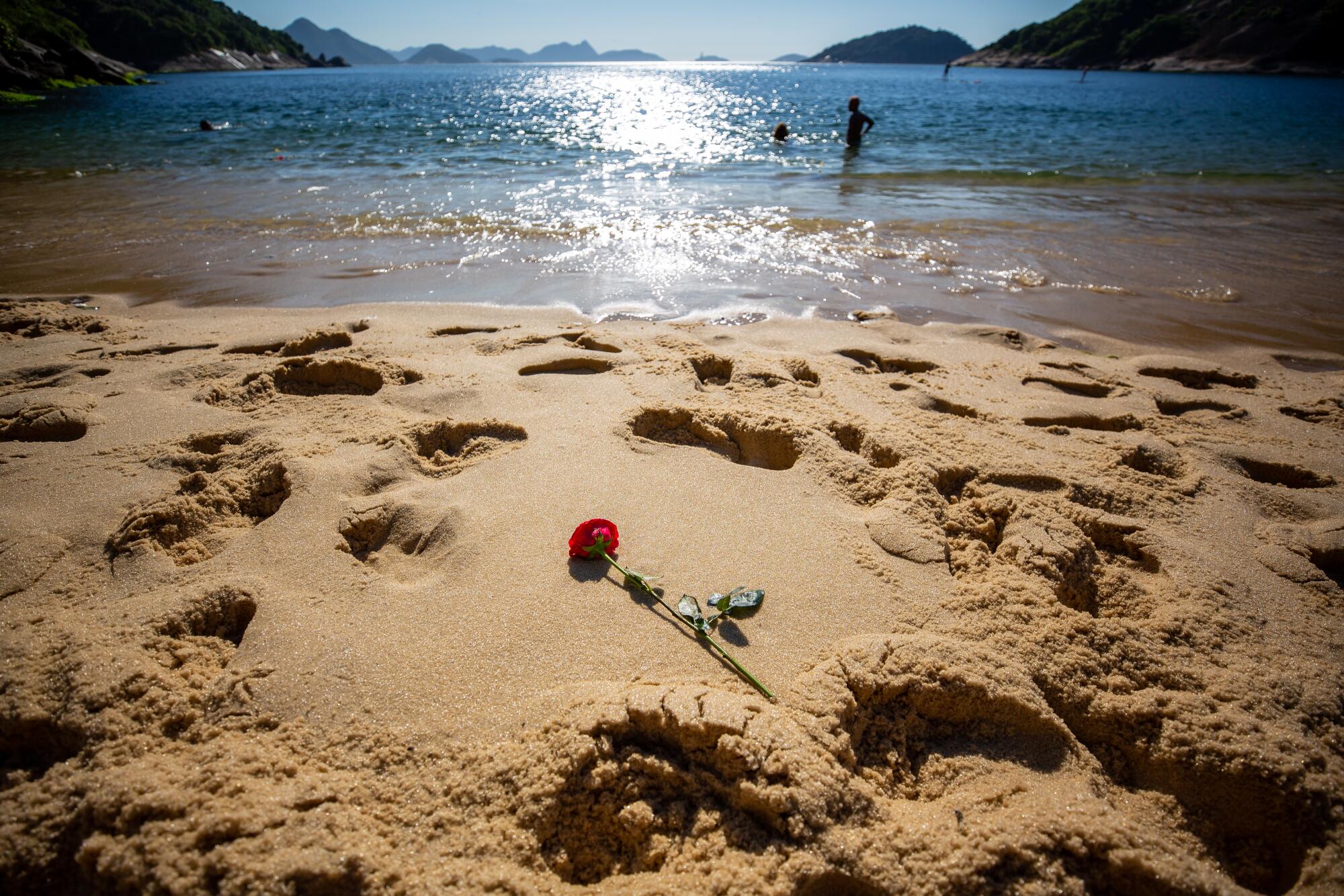 A long-stemmed red rose, surrounded by footprints, lies atop the sand at a beach.
