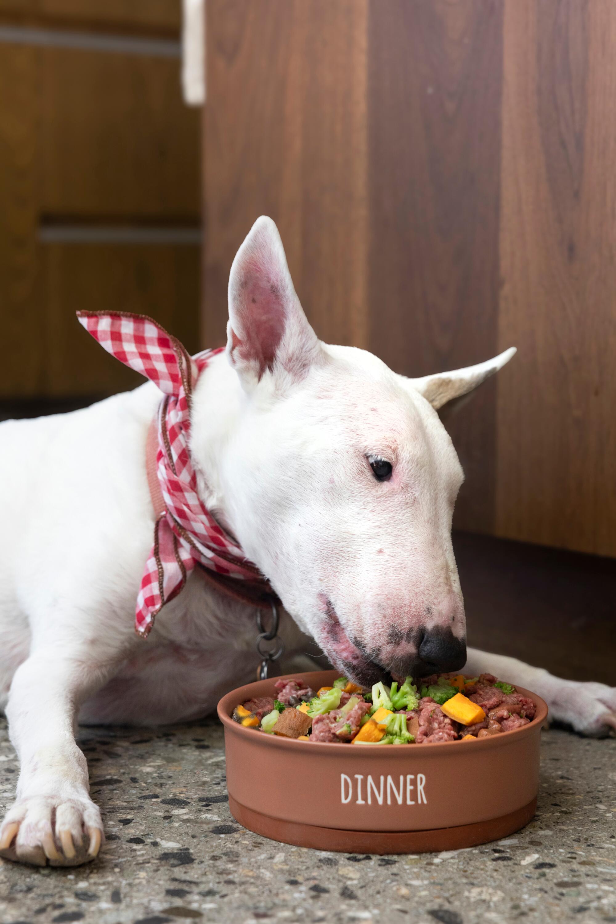 Ivy is in her bag in her bag, a combination of raw meat and an ebéme vegetables.