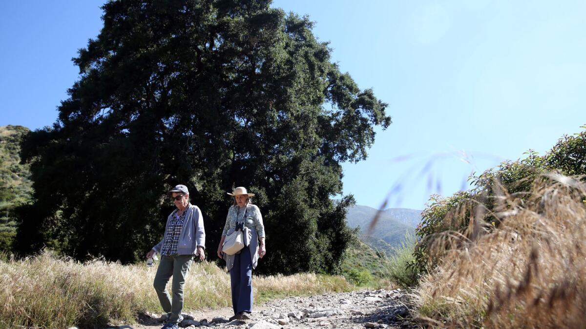 Ruth Fisher, left, and Roxanne Correa pass an oak tree along the trail at Deukmejian Wilderness Park.