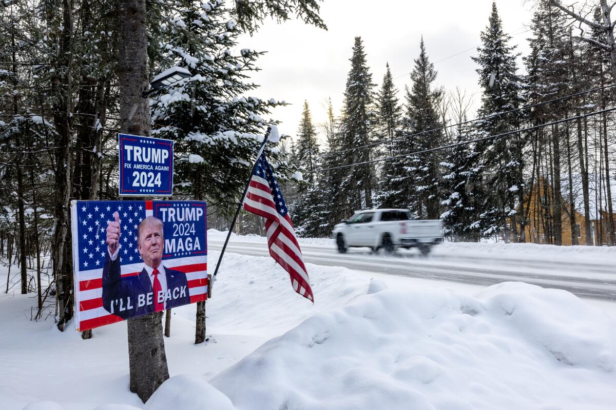 Trump signs are nailed to a tree 