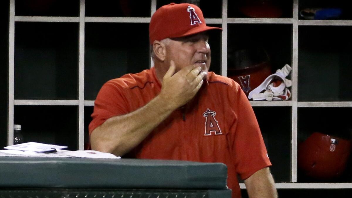Angels Manager Mike Scioscia in his customary position in the dugout.
