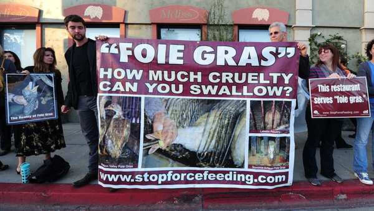 Protesters hold a banner and placards while shouting slogans in front of the "Melisse" eatery in Santa Monica, California, which sells foie gras dishes. A simmering row between animal rights campaigners and a handful of California's top chefs is coming to the boil, ahead of a looming ban on foie gras in California to take place July 1.