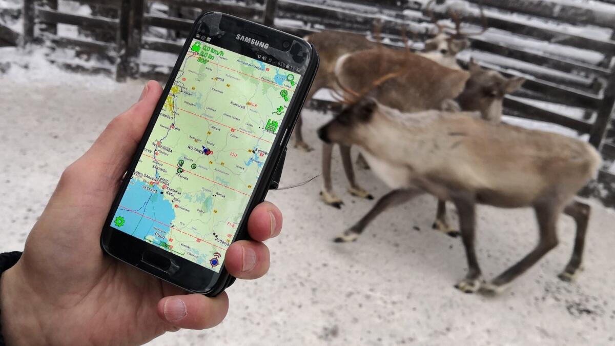 Reindeer herder Seppo Koivisto holds a smartphone showing the mobile app used to locate reindeer in Finnish Lapland, in Rovaniemi, Finland, on Dec. 13 2018.