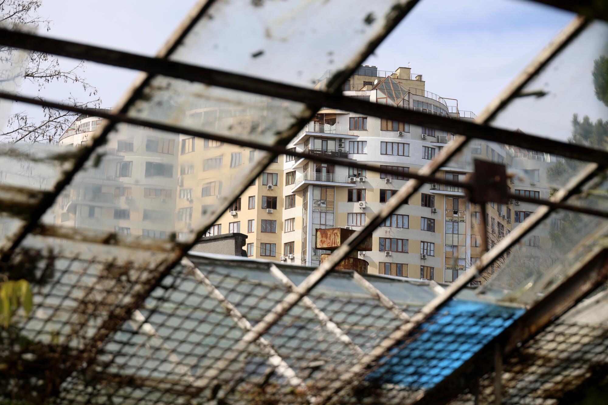 Os edifícios são vistos através de um telhado de estufa danificado. 